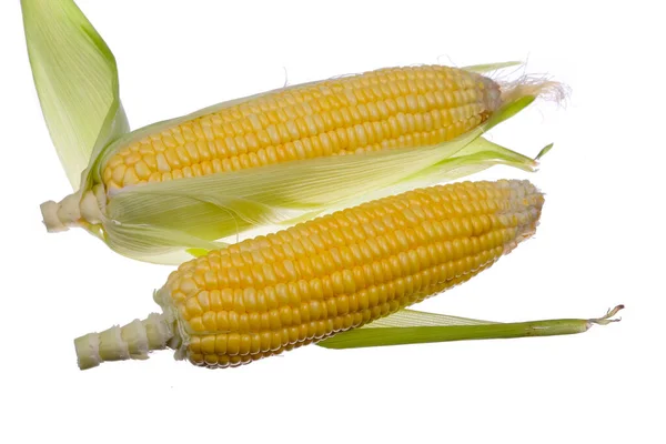 Fresh Corn Isolated White Background — Stock Photo, Image