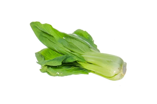 Hořčičný Pakcoy Nebo Bok Choy Oblíbený Typ Zeleniny Zelenina Známá — Stock fotografie