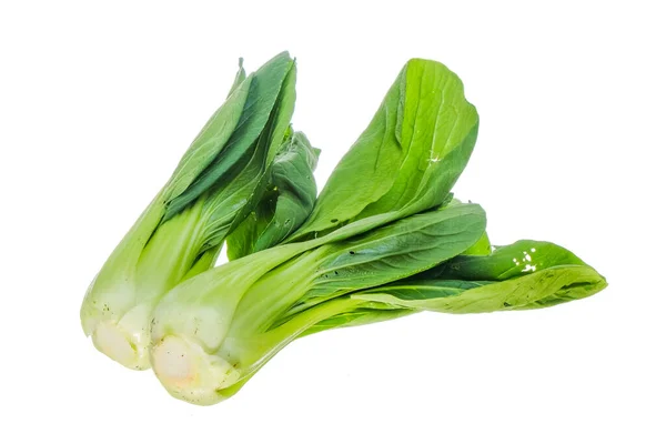 Mostaza Pakcoy Bok Choy Tipo Popular Vegetal Las Verduras También —  Fotos de Stock