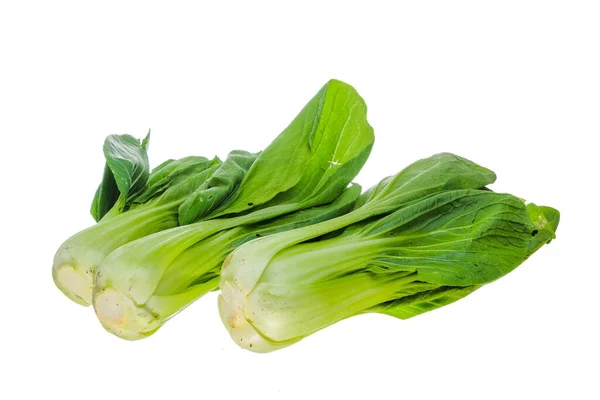 Hořčičný Pakcoy Nebo Bok Choy Oblíbený Typ Zeleniny Zelenina Známá — Stock fotografie
