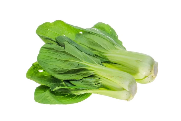 Mostarda Pakcoy Bok Choy Tipo Popular Vegetal Vegetais Também Conhecidos — Fotografia de Stock