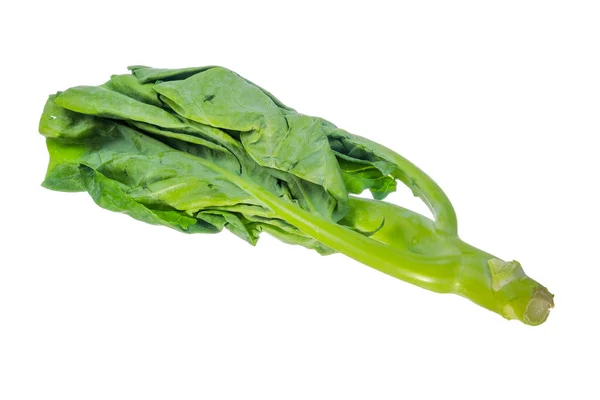 Kinesisk Grönkål Kinesisk Broccoli Isolerad Vit Bakgrund — Stockfoto