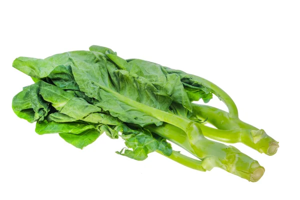 Kinesisk Grönkål Kinesisk Broccoli Isolerad Vit Bakgrund — Stockfoto