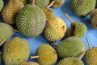 Taze Durian meyve kralı satışa hazır.