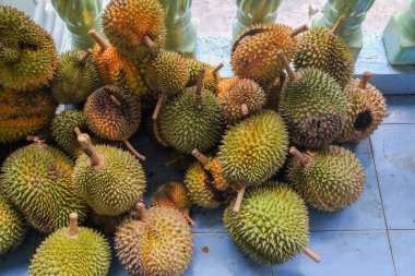 Taze Durian meyve kralı satışa hazır.