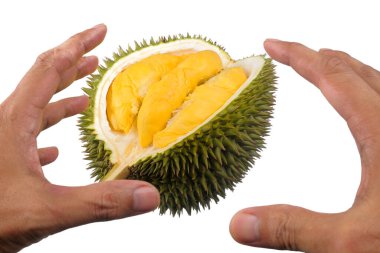 Beyaz arkaplanda yalıtılmış Durian meyve kralı