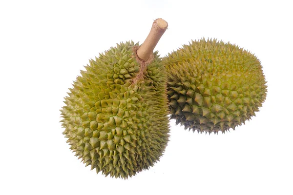 Durian Frutta Isolata Sfondo Bianco — Foto Stock