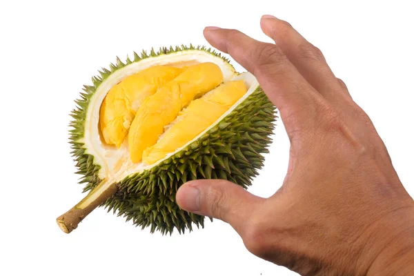Durian Βασιλιάς Των Φρούτων Που Απομονώνονται Λευκό Φόντο — Φωτογραφία Αρχείου