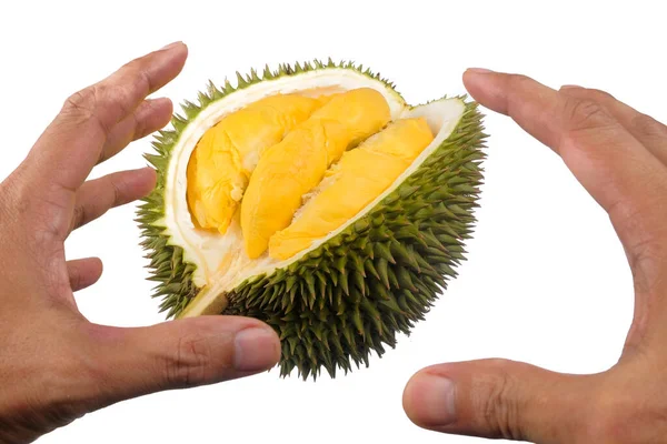 Beyaz arkaplanda yalıtılmış Durian meyve kralı
