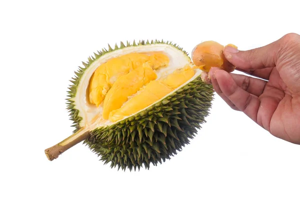 Hands Holding Fresh Cut Durian Which King Fruit Isolated White — Stock Photo, Image