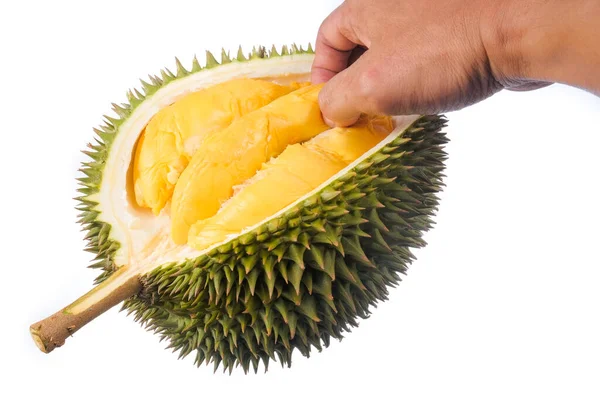 Hands Holding Fresh Cut Durian Which King Fruit Isolated White — Stock Photo, Image