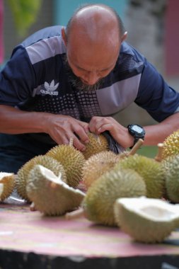 Muadzam Şah, Malezya - 1 Temmuz 2020: Mutlu Asyalı erkekler arkadaşlarıyla Durian meyvesi yemekten hoşlanırlar.