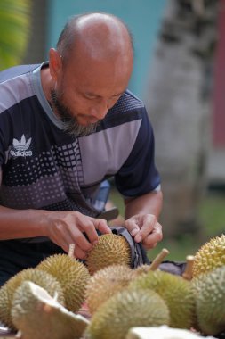 Muadzam Şah, Malezya - 1 Temmuz 2020: Mutlu Asyalı erkekler arkadaşlarıyla Durian meyvesi yemekten hoşlanırlar.