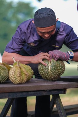 Muadzam Şah, Malezya - 1 Temmuz 2020: Mutlu Asyalı erkekler arkadaşlarıyla Durian meyvesi yemekten hoşlanırlar.