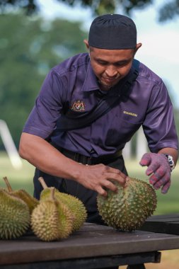 Muadzam Şah, Malezya - 1 Temmuz 2020: Mutlu Asyalı erkekler arkadaşlarıyla Durian meyvesi yemekten hoşlanırlar.