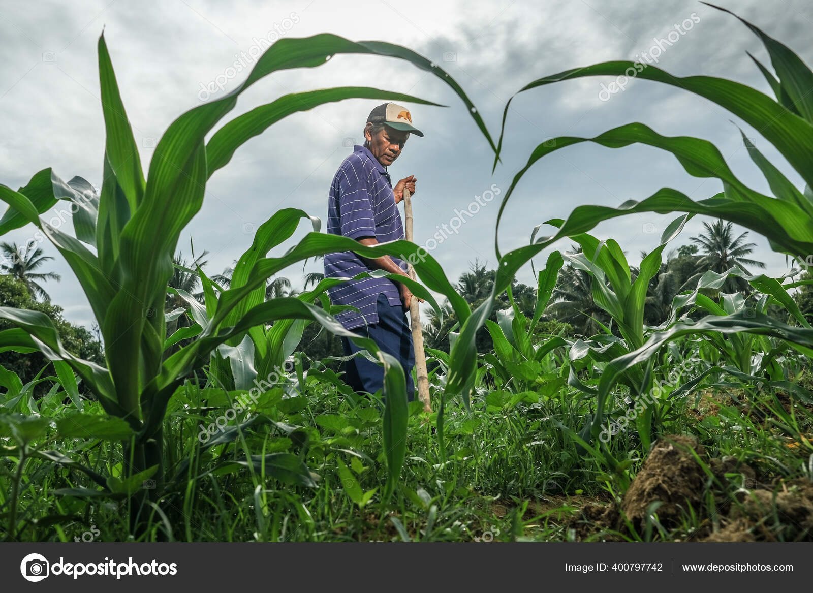 Muadzam Shah Malaysia July 30Th 2020 Sixty Four Years Old Stock