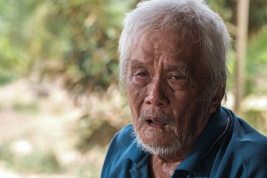 Yaşlı çiftçi Durian Meyve Bahçesi 'nde bir kulübede dinleniyordu..