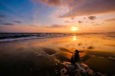Güneşin doğuşu sırasında kumlu sahilde yumuşak mavi okyanus dalgalarıyla denizin üzerinde güzel bir bulut manzarası.