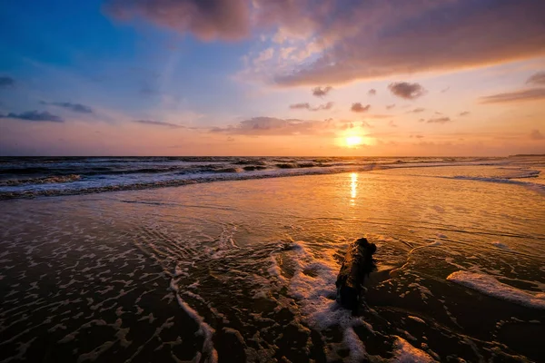 日の出の間に砂浜に青い海の柔らかい波と海の上の美しい雲の風景 — ストック写真