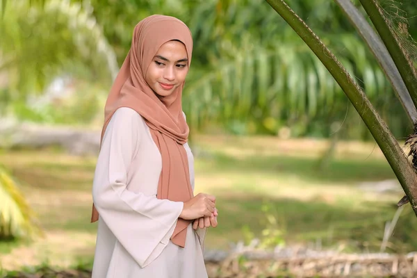 Mulher Bonita Hijab Perto Uma Palmeira Árvore Óleo — Fotografia de Stock