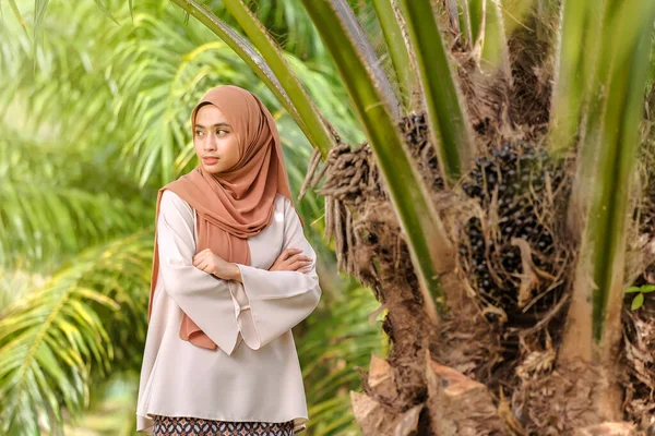 Mooie Vrouw Een Hijab Staand Buurt Van Een Palmolie Boom — Stockfoto