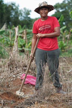 Muadzam Şah, Malezya - 3 Ekim 2020: Genç Asyalı bir adam meyve bahçesine genç bir muz ağacı dikiyor.