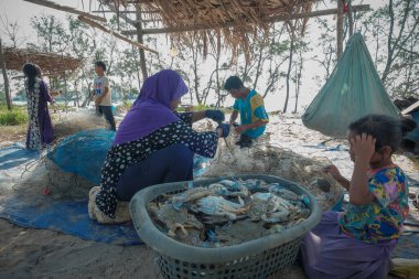 Kuala Rompin, Malezya - 30 Ağustos 2020: anne ve baba balıkçı iskelesinden taze yengeç alıyor.