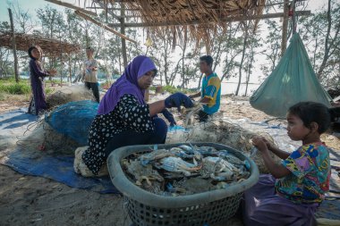 Kuala Rompin, Malezya - 30 Ağustos 2020: anne ve baba balıkçı iskelesinden taze yengeç alıyor.