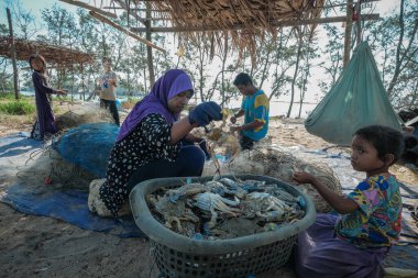 Kuala Rompin, Malezya - 30 Ağustos 2020: anne ve baba balıkçı iskelesinden taze yengeç alıyor.