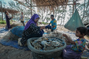 Kuala Rompin, Malezya - 30 Ağustos 2020: anne ve baba balıkçı iskelesinden taze yengeç alıyor.
