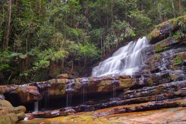 Güzel Rimau Berjemur Şelalesi Rompin Malezya 'da.