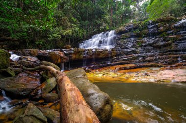 Güzel Rimau Berjemur Şelalesi Rompin Malezya 'da.