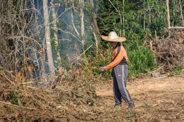 Muadzam Şah, Malezya - 18 Ekim 2020: Bölge sakinleri göl kenarını temizlemek ve temizlemek için birbirlerine takım çalışması ruhuyla yardım ediyorlar. İnsanlar peyzaj işleri yapıyor. .