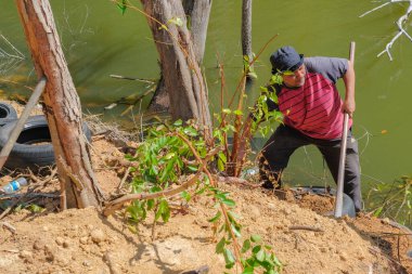 Muadzam Şah, Malezya - 18 Ekim 2020: Bölge sakinleri göl kenarını temizlemek ve temizlemek için birbirlerine takım çalışması ruhuyla yardım ediyorlar. İnsanlar peyzaj işleri yapıyor. .
