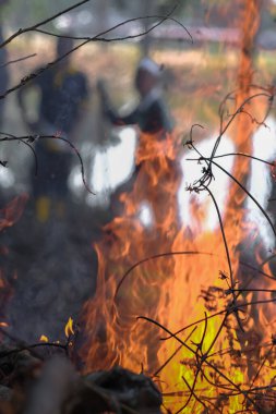  Bölge sakinleri göl kenarını temizlemek ve temizlemek için takım çalışması ruhuyla birbirlerine yardım ediyorlar. İnsanlar peyzaj işleri yapıyor. .