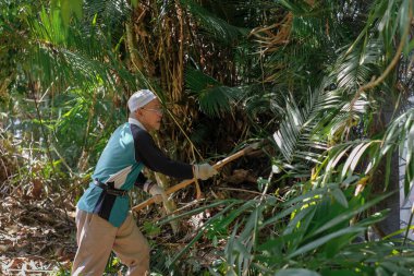 Muadzam Şah, Malezya - 18 Ekim 2020: Bölge sakinleri göl kenarını temizlemek ve temizlemek için birbirlerine takım çalışması ruhuyla yardım ediyorlar. İnsanlar peyzaj işleri yapıyor. .