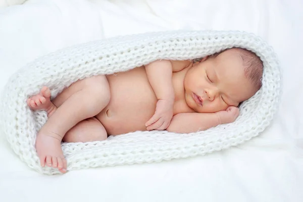 Recém Nascido Dorme Paz Casulo Malha — Fotografia de Stock