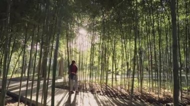 Güzel kız akşam güneş ışığında bambu koru sokak boyunca yürüyor