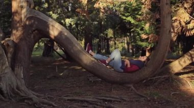 Tatlı kız akşam güneş ışığında parkta büyük bir ağacın yarım daire gövdesi üzerinde dinlenme yatmış