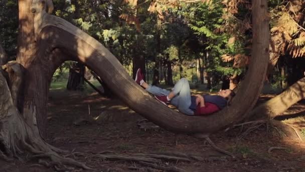 Doce menina está deitada tendo um descanso em um tronco semicircular de uma grande árvore no parque às luzes do sol da noite — Vídeo de Stock