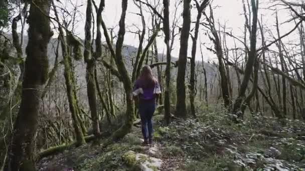 Menina beleza está andando na floresta de conto de fadas e ela pula sobre a árvore caindo — Vídeo de Stock