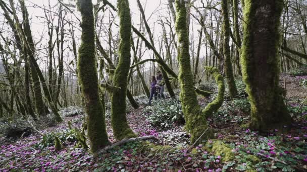 Dva mladí lidé chodí po slunném dnu hluboko do lesa. — Stock video