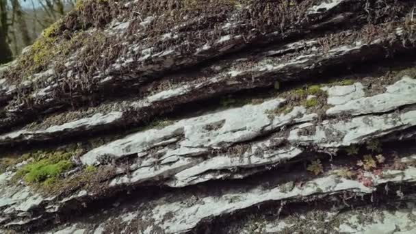 Existe la formación rocosa cubierta de musgo en un primer plano — Vídeo de stock