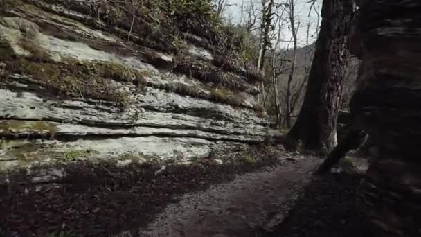 Promenade le long du chemin dans un labyrinthe de pierre au milieu d'une forêt mystérieuse — Video