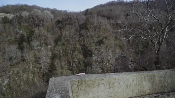 家伙爬上石头栅栏，试图在危险的地方自拍 — 图库视频影像