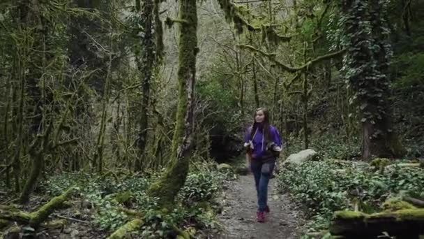 Una muchacha feliz va en el bosque profundo del boj y da vuelta fuera del camino en a un árbol musgo-cubierto grande — Vídeos de Stock