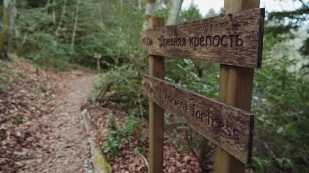 Una chica atlética camina a lo largo de un camino más allá de una señal de madera en el bosque — Vídeo de stock