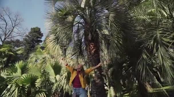 Chica alegre en una chaqueta amarilla está jugando con hojas de palma y está girando bajo una palmera en un día soleado . — Vídeo de stock
