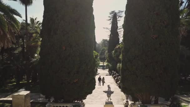 Una pareja de enamorados tomados de la mano están bajando las escaleras en el hermoso jardín de cipreses. Estatua de gallo en la vista frontal . — Vídeo de stock