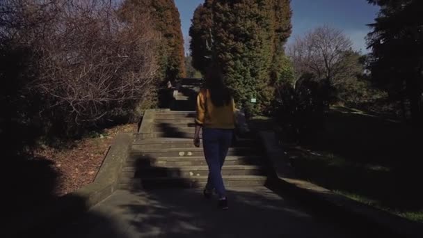 Longue fille aux cheveux décontractés monte les escaliers en pierre dans le jardin — Video